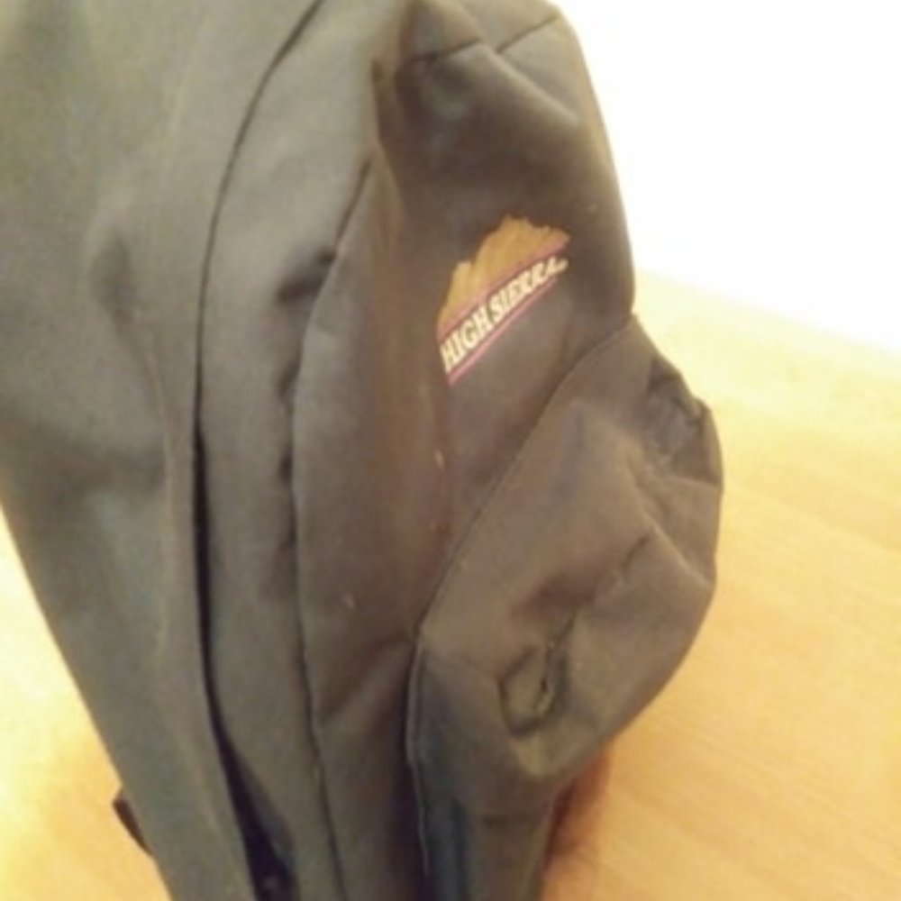 High Sierra green backpack
